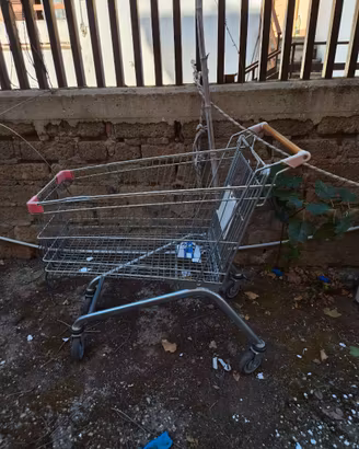 Carrello