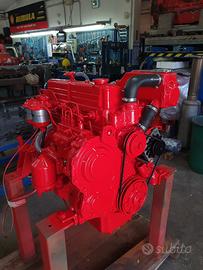 Motore marino Boni Ford 2712E