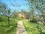 Immagine 7