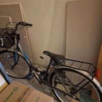 Bicicletta da passeggio