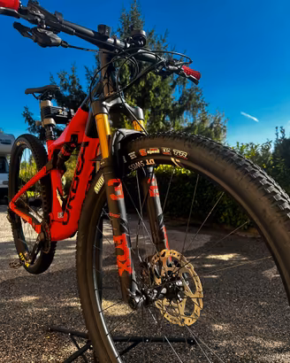 Orbea oiz