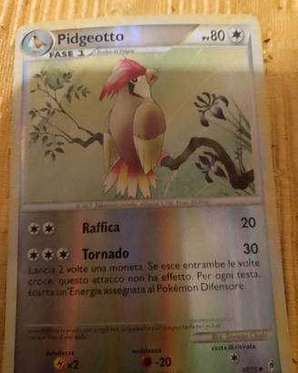 Carta Pokemon