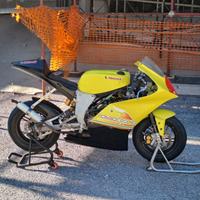 MiniGP moto Metrakit 12 pollici 6 marce 50cc