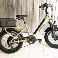 Bicicletta elettrica Lombardo Aurelia fatbike 2021