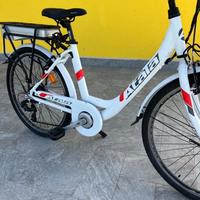Bicicletta elettrica