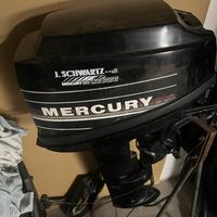 Motori mercury evinrude