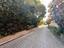 Immagine 9