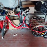 bicicletta elettrica tre ruote 