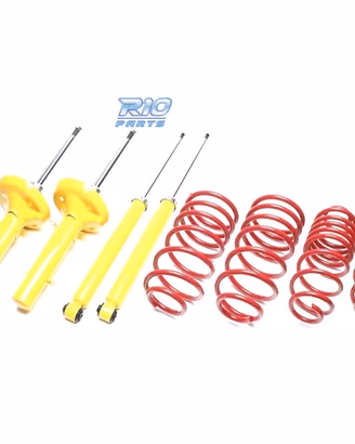 SOSPENSIONE SPORTIVA CITROEN SAXO 04 1996-2003 60/