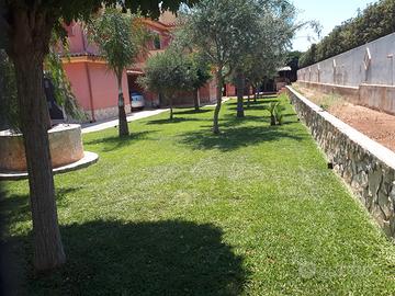 Last Minute Settembre Marzamemi
