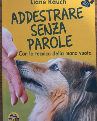 Addestrare senza parole