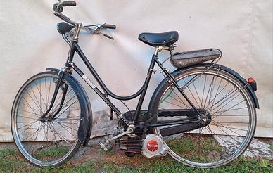 moto Mosquito