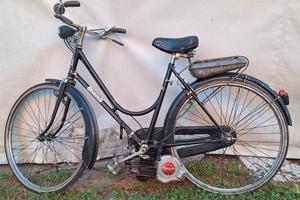 moto Mosquito
