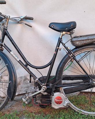 moto Mosquito