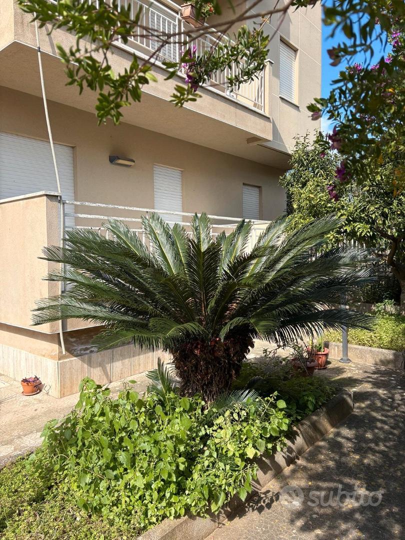 Apartment in Castelvetrano, Villaggio Belvedere, Trapani - Vista 6