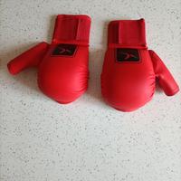 Guanti Karate 