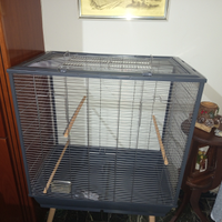 Gabbia , voliera per uccelli