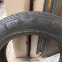 Nexen m+s 225 60 18 104v