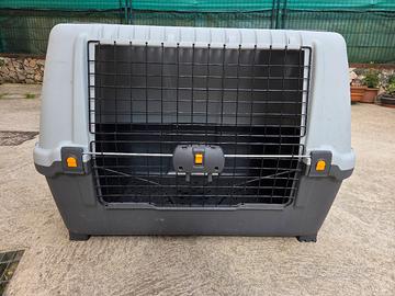 Anione Box  bagaglio Cane