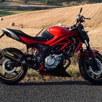 Suzuki SFV Gladius 650
