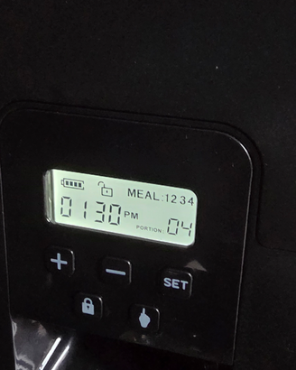 Distributore automatico cibo gatti lt2