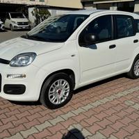 FIAT New Panda 1.2 S.&S. E6D-TEMP EASY 5 POSTI