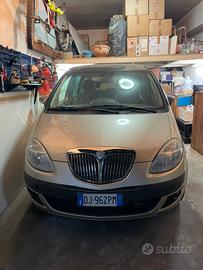 Lancia Musa platinim