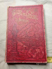 1896-Guida del Cadore e della valle di Zoldo.
