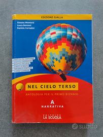 Nel cielo terso Vol. A Narrativa Edizione Gialla
