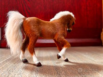 Cavallino gioco bellezza