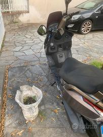 Scooter gdink 300