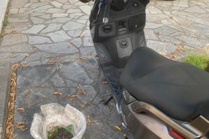 Scooter gdink 300