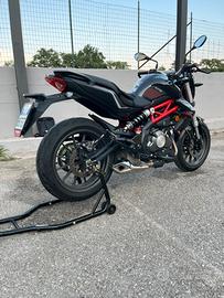 Benelli BN 302 2017