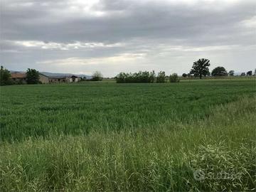 Terreno Edificabile a Assisi