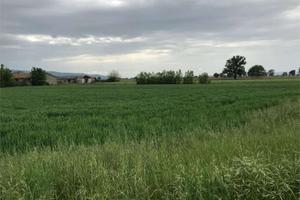 Terreno Edificabile a Assisi