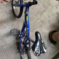 bicicletta