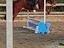 Immagine 3
