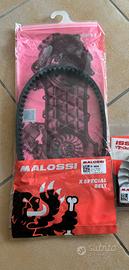 Cinghia malossi x special belt per blocco piaggio