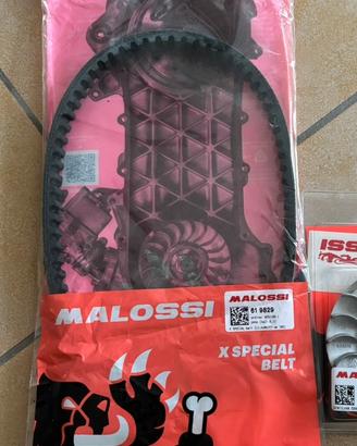 Cinghia malossi x special belt per blocco piaggio