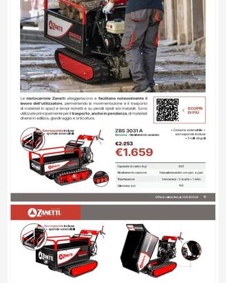  Motocarriole Zanetti 
