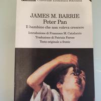 Peter Pan : il bambino che non voleva crescere