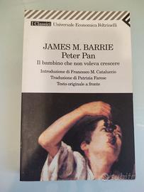 Peter Pan : il bambino che non voleva crescere