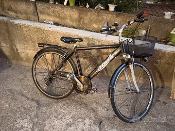 Bici da uomo