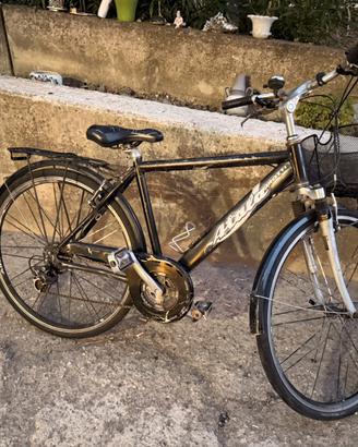 Bici da uomo