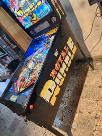 flipper royal rumble