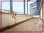 Immagine 13