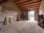 Immagine 14