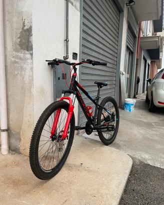 bici geroni cosmos
