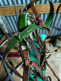 Finimento per mezzo cavalli o