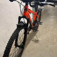 Bicicletta Montain bike